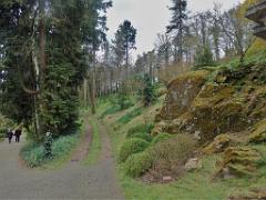 149 PARC ORIENTAL DE MAULEVIER MAINE ET LOIRE 2016 N1_000036